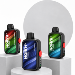 North 12.000 Puffs